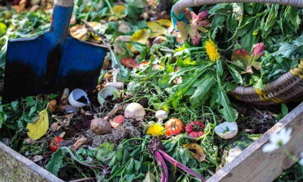compost