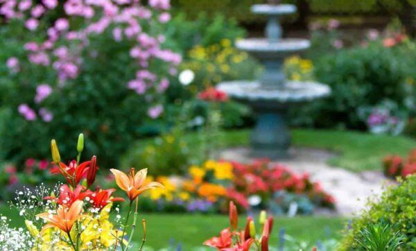flower gardens