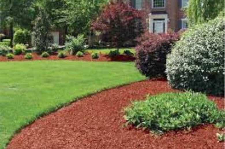 mulch