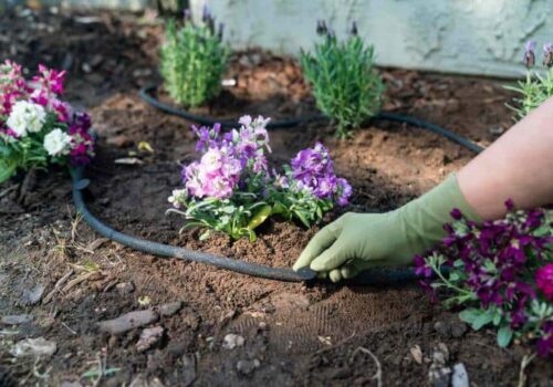 garden irrigation system