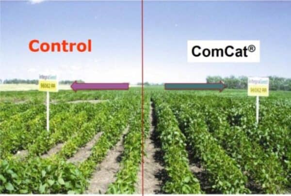 comcat